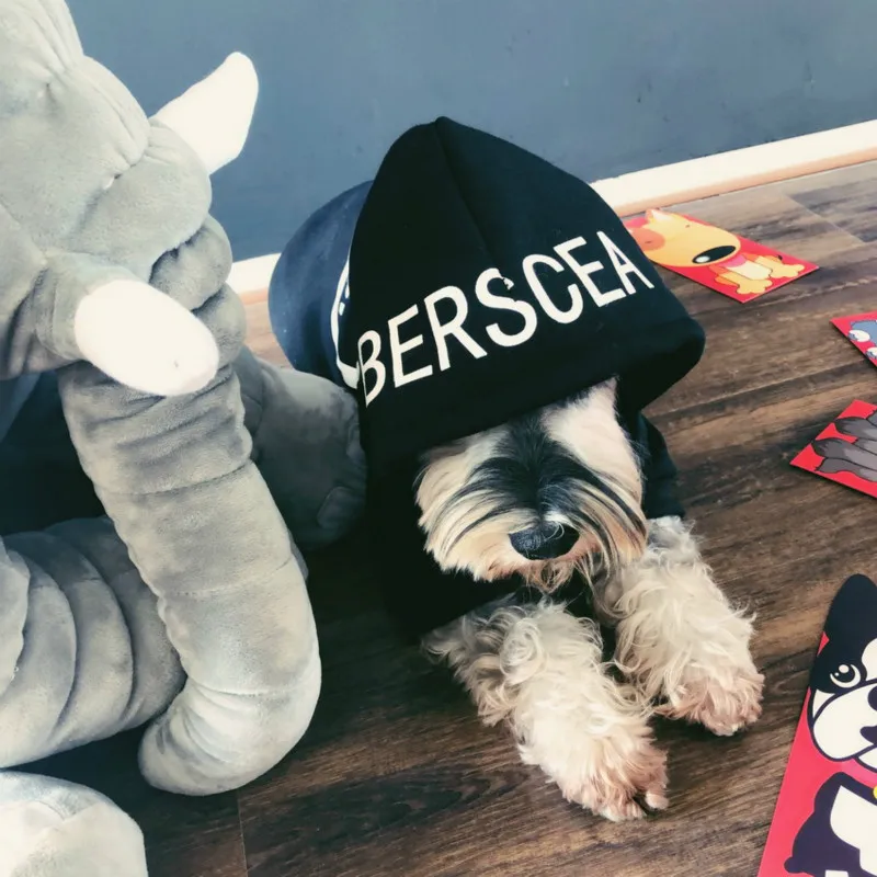 Новый тренд одежда для домашних животных собак кошек Law Schnauzer Taidi VIP зимний
