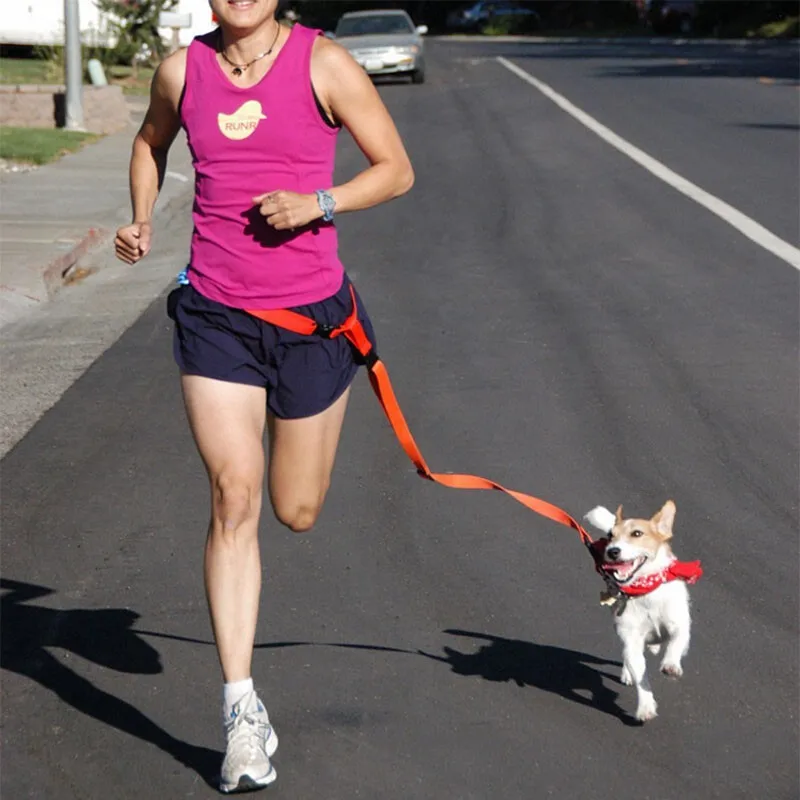 

2.5cm Dog Leash Running Hand Freely Pet Products Dogs Harness Collar Jogging Lead Adjustable Waist Leashes Traction Belt Rope