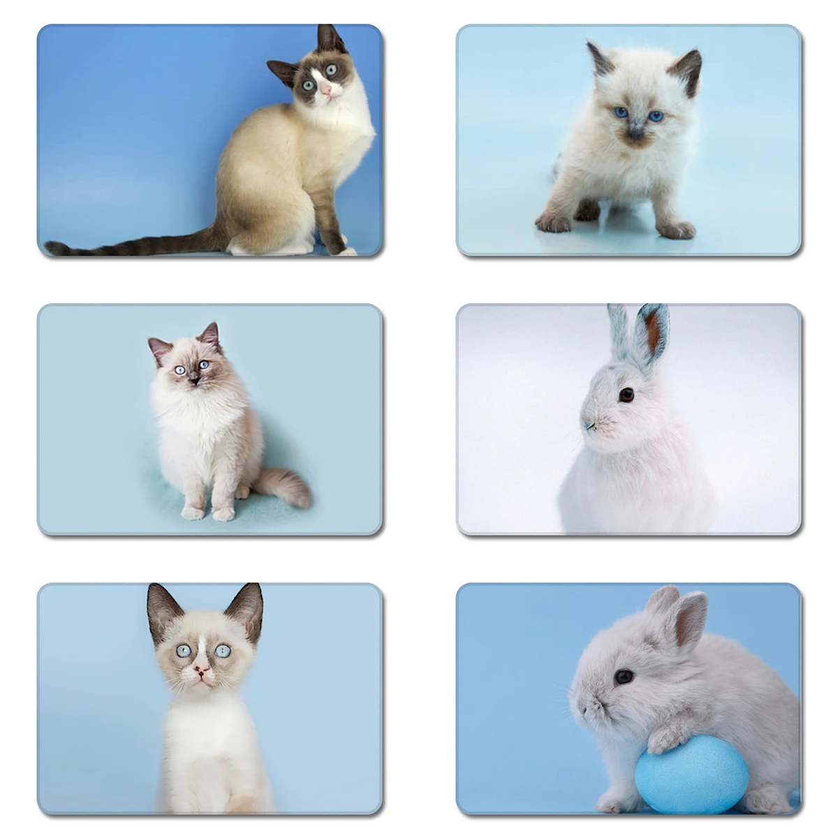 Милые детские животные домашние для кроликов и кошек крутой дизайн натуральный