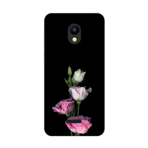 II18 Meizu C9 Pro Чехол, силиконовая Мягкая задняя крышка из ТПУ с изображением голубой сливы для Meizu C9, защитный чехол для телефона s Shell - Цвет: II18