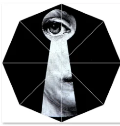 4 Винтажный автоматический зонт Fornasetti Art beauty Face SKULL, модный пляжный зонт с рисунком, СОЛНЦЕЗАЩИТНЫЙ/женский зонт от дождя - Цвет: 4