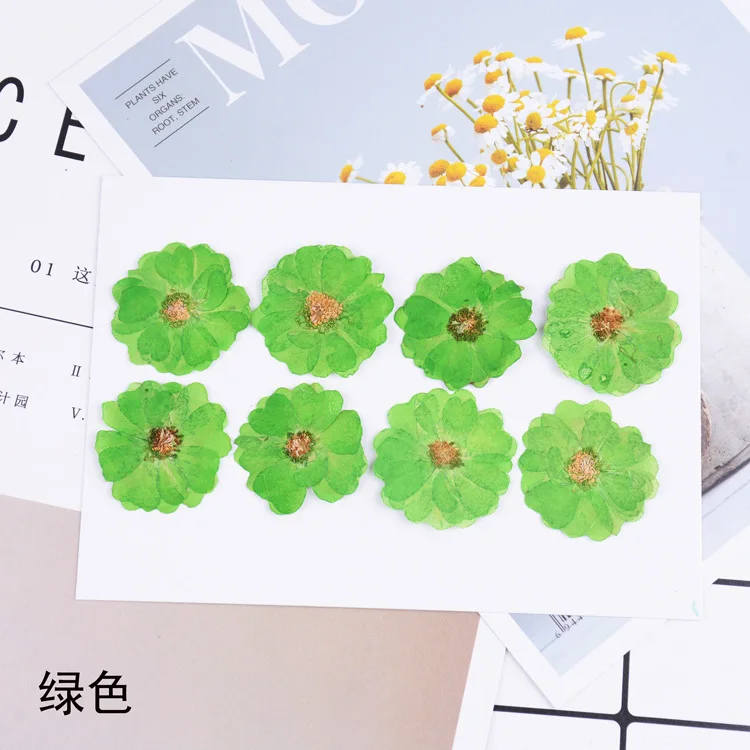 Green 8 шт./упак. натуральные прессованные розы сушеные цветы для смолы ювелирные изделия цветок гербарий DIY искусство ремесла украшение корпуса телефона - Цвет: Green