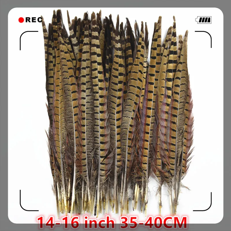 50 шт./лот натуральные Ringneck Перья из хвоста фазана для рукоделия 25-75cm10-3" Свадебные украшения фазан перо Плюмы - Цвет: 35-40CM 14-16Inch