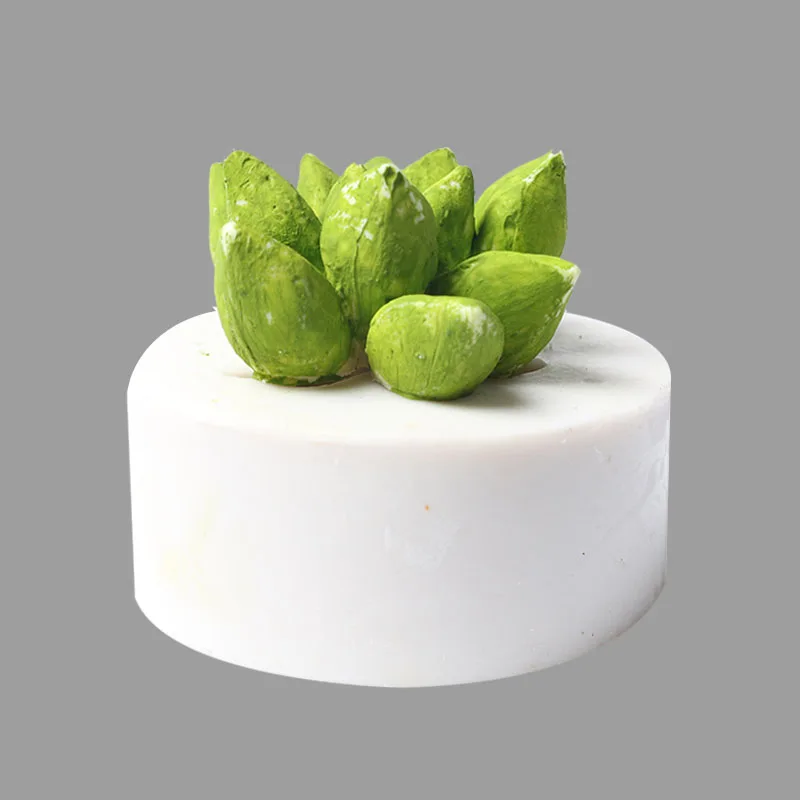 

Succulent Silicone Mold DIY Jewelry Tools Silicone Mold Table Crafts Making Creative Molds for Jewelry Making decoration