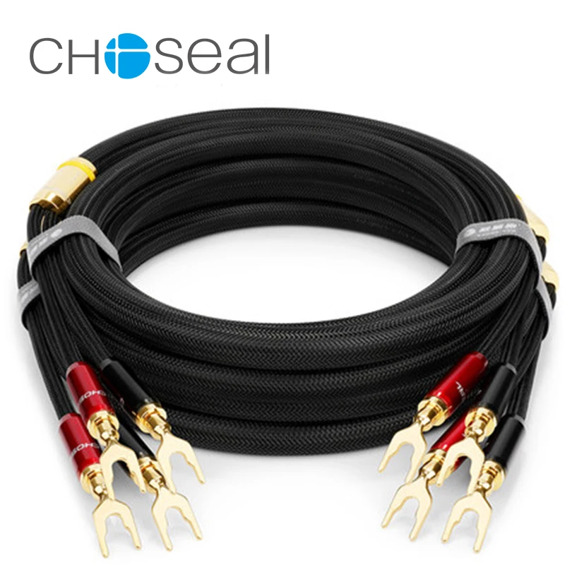 Choseal 30th юбилей QS991 HIFI один Кристалл Медь U Тип подключения усилители домашние