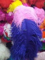 20PcsLot60-65cm Two Tone High Quality Ostrich FeathersPinkRoyal Blue Ostrich Craft Feathers for stage and Home decoration