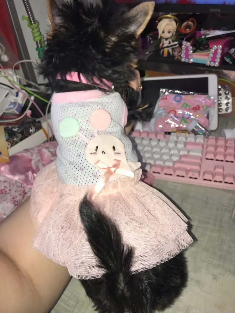 Petstyle, платья для собак с блестками, одежда для кошек, одежда для собак и кошек, Йоркская Мальтийская чихуахуа, весна-лето