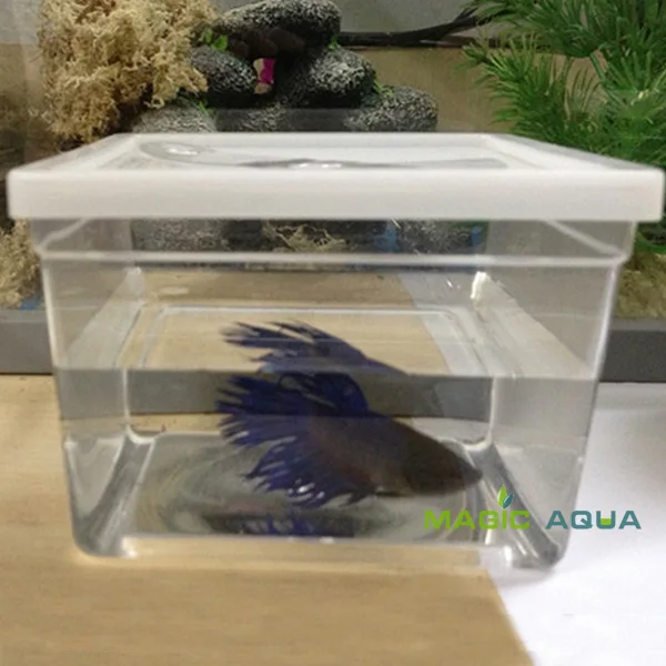 50 шт./лот Mini Betta аквариум для рыб оптовая цена|tank aquarium|fish tank aquariumbetta fish fight |