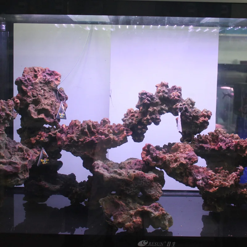 Living Rock Aquarium