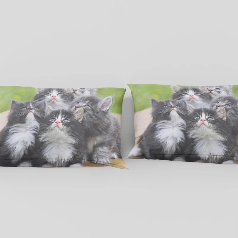 Dream NS милое спальное место для кошки набор высокой четкости 3D пододеяльник с рисунком принимает индивидуальные домашний текстиль ансамбль de literie