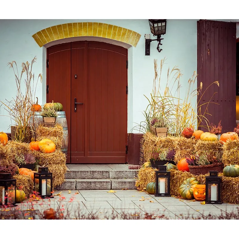 

Door Background For Photography Wedding/Children Vinyl Photo Studios Digital Printing Backdrops