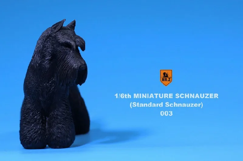 1:6 Масштаб фигурки аксессуары для сцены MR. Z Смолы миниатюрный Стандартный Schnauzer собака MRZ019 fit 1" фигурка игрушки аксессуары