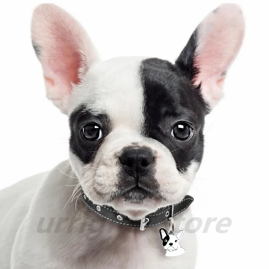 Брелок для ключей с эмалью в виде французского бульдога 10 шт./лот|Шармы| |