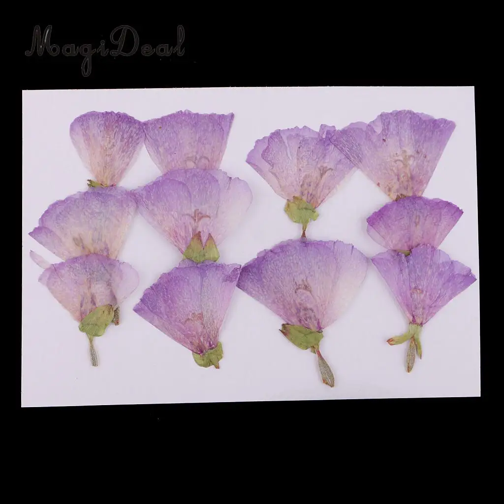 12 шт. Красивые Натуральные сушеные цветы для художественного творчества