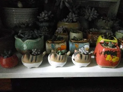 Cat Chi's Cat керамические горшки для растений микро милые мини суккуленты в горшке маленькие цветочные горшки кактус бонсай креативный мультфильм плантатор для дома