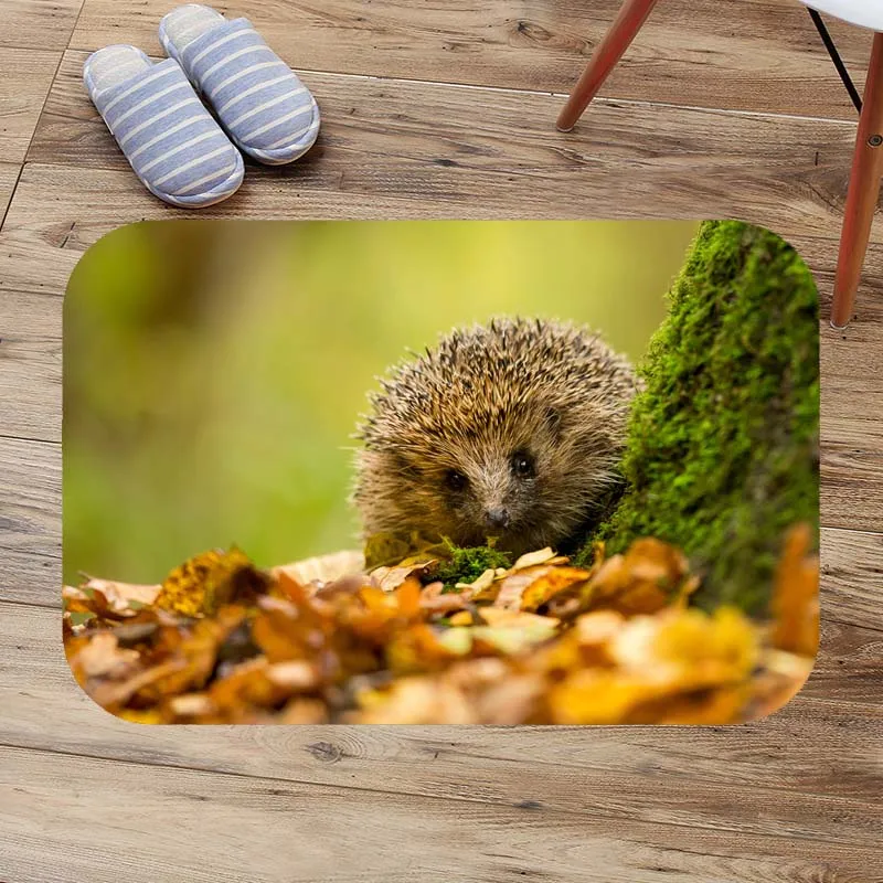 Напольный коврик hedgehog для входной двери пользовательские коврики ванной комнаты