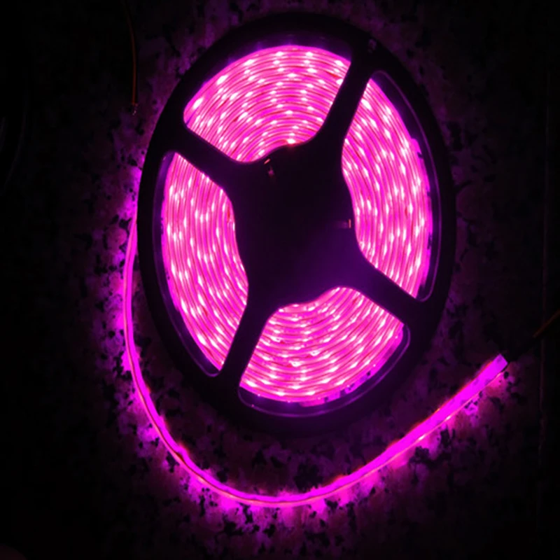 

Romantic Pink LED Strip light IP65 Waterproof 3528 SMD 60LED/M 5M flexible LED rope bar light DC12V Led decroation tape