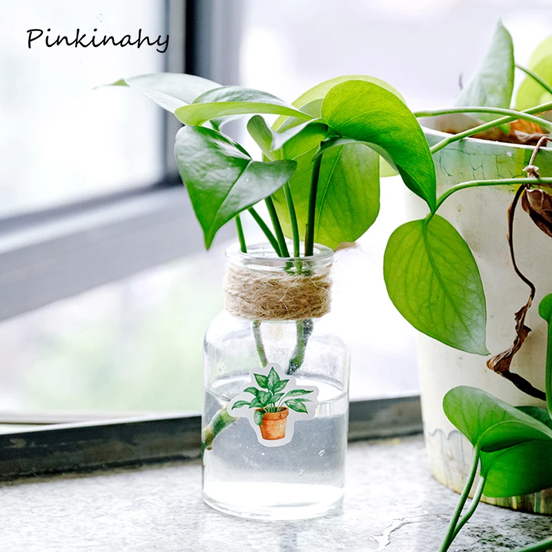 Зеленые растения кактус Повседневная жизнь мини бумажная наклейка украшение