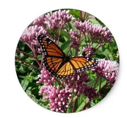

1.5inch Monarch Butterfly Classic Round Sticker