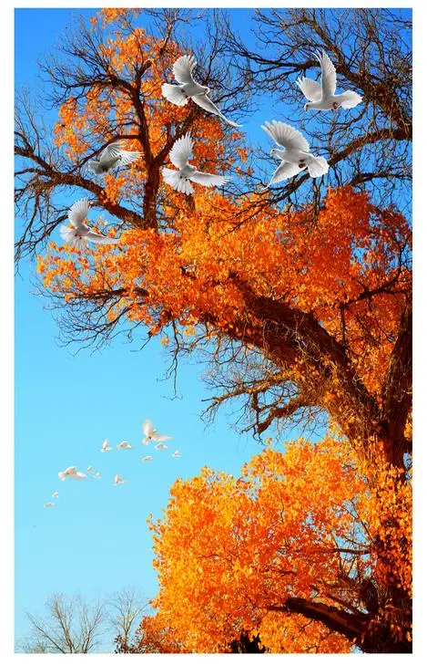 Populus голуби небо потолок Пейзаж обои фрески потолки 3d mural дизайн Украшение Дома |