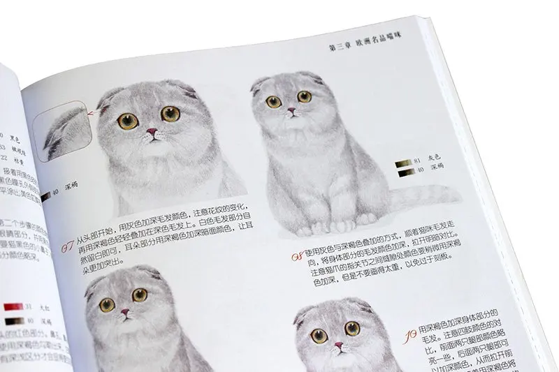 

I am a fat cat : color pencil cat animal painting drawing art book cat pet technical textbook