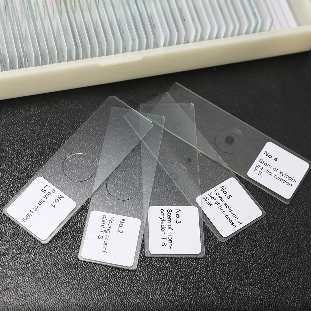 50PCS/Set Coverslips Glass Microscope Parts Fresh Animal Plants Insects Tissues Specimens Sample Slides Cover Slips | Инструменты
