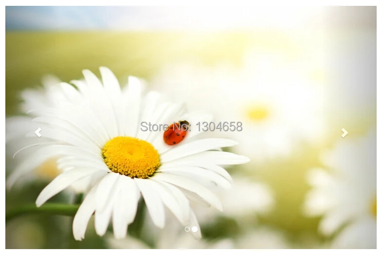 Бесплатная доставка современные 3D обои ромашки божьей коровки для дивана
