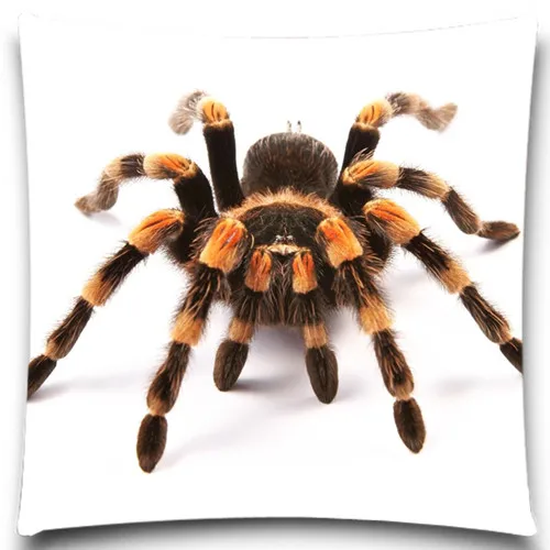 Квадратные наволочки в виде паука серые/красные/оранжевые насекомых синие и