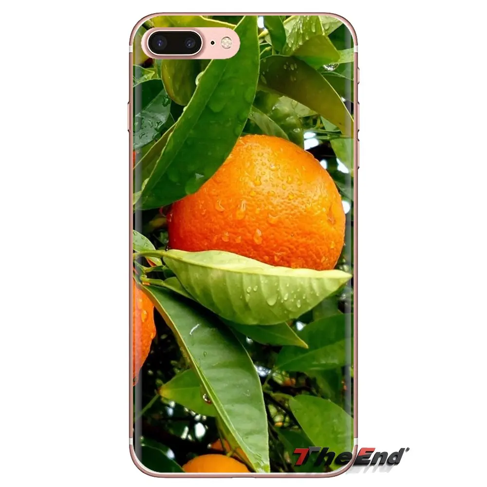 Soft Transparent Cases Cover Desktop fruits mobile wallpapers For Huawei Mate Honor 4C 5C 5X 6X 7 7A 7C 8 9 10 8C 8X 20 Lite Pro |