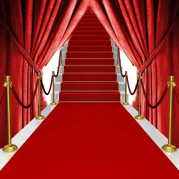 

MR-2027 VIP Red Carpet Fotografia Photo Background Backdrop Vinyl