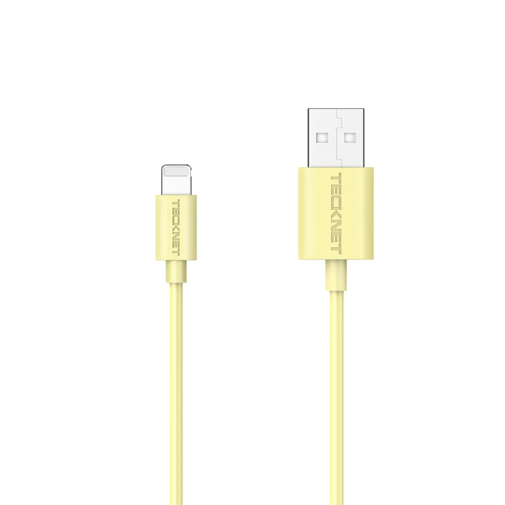 TeckNet кабель с сертификацией MFi 1 м USB зарядное устройство кабель для IOS10 iPhone XR X XS MAX 8 7 5 6 6S Plus 2.4A Быстрая зарядка кабель для передачи данных