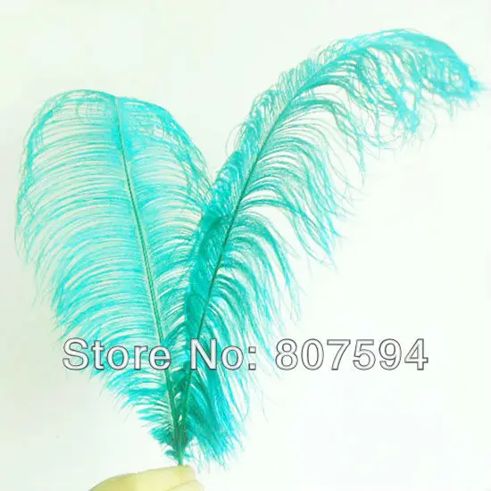 Colorful Long 50 - 55cm Big Ostrich Feathers Plume for DIY Craft Wedding Party Centerpieces Home Decoration 12pcs/lot IF61 | Дом и сад