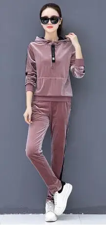 Pink Новинка, Модный золотой Бархатный спортивный костюм для женщин, весна-осень, повседневный женский костюм с капюшоном, свитшот, комплект из двух предметов размера плюс - Цвет: Pink
