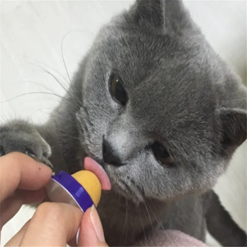 Здоровые закуски для кошек кошачья мята леденцы твердый Питательный гель