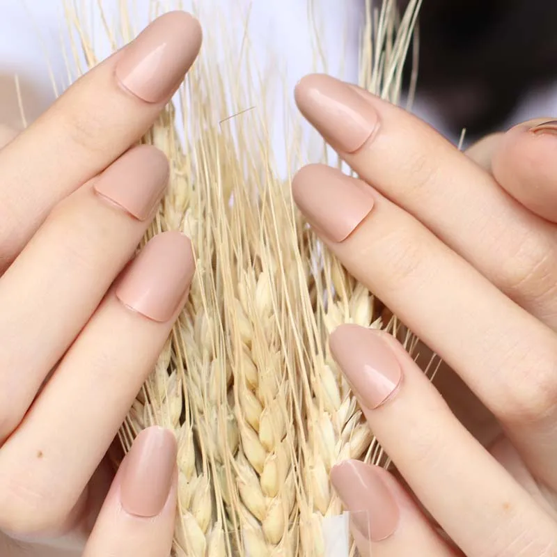 24 шт. Лидер продаж новый дизайн красивые нежные овальные конфеты милые