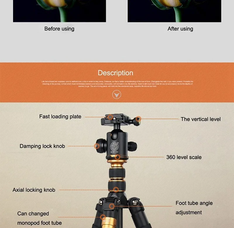 QZSD Q666C карбоновый штатив монопод шаровая Головка для dslr камеры светильник портативный стенд компактный профессиональный штатив