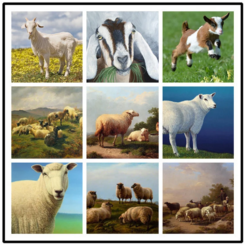 Diy 5D Diamond Painting Embroidery Cross Stitch Full Drill Square round Animal Wedding Decoration StickerZP-2929 | Дом и сад