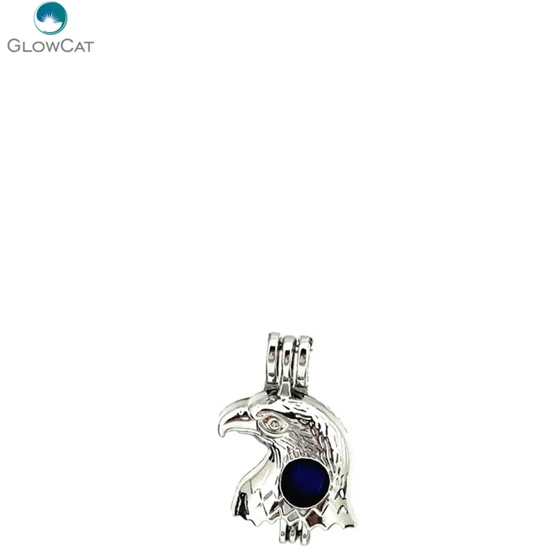 K629 5 шт./лот ястреб орел жемчужная клетка медальон эфирное масло диффузор Арома