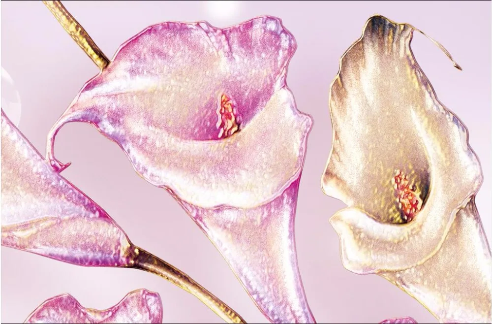 3d комната фото обои на заказ росписи Каллас бабочка декорация Живопись настенные