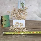 Happykiss20 шт. 1-2 см 2-3 см мини Морская звезда Ремесло Украшение Природные ремесла морские звезды DIY пляж коттедж свадебный Декор Горячие ракушки