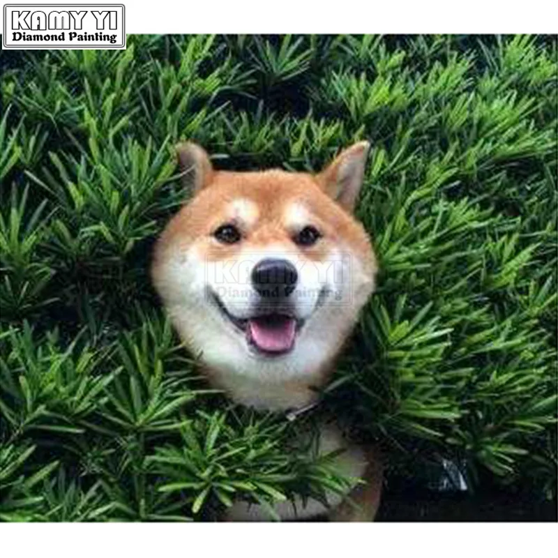 

Full Square Drill 5d Diy Diamond Painting Shiba Inu Cross Stitch Crystal Round Diamond Lk1