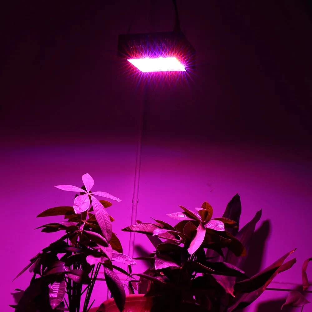 Полный спектр 80W мини Led светильник для роста растений в помещении, цветов, фруктов и овощей в теплице или ящике на поддоне ZjRight.