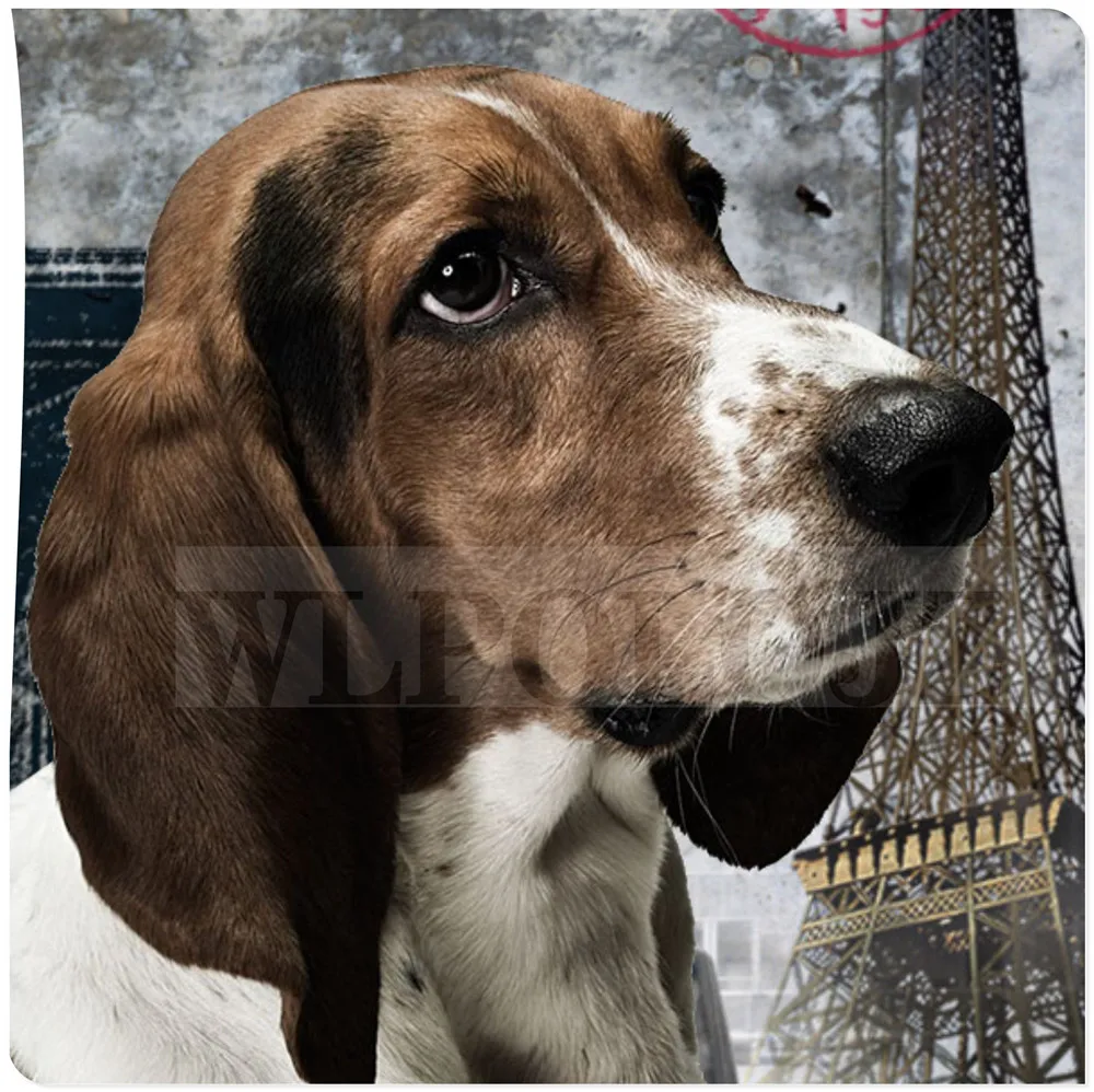 Модная детская одежда nice с принтом собаки мечты на весну и осень топы для