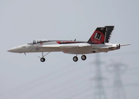 Freewing EPO RC Plane F-18 64 мм Jet PNP | Игрушки и хобби
