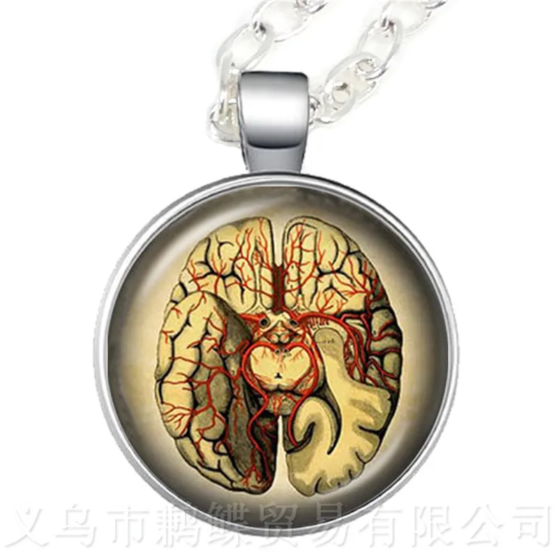 Человеческая Анатомия мозга Ожерелье Стеклянный кабошон странная крутая наука