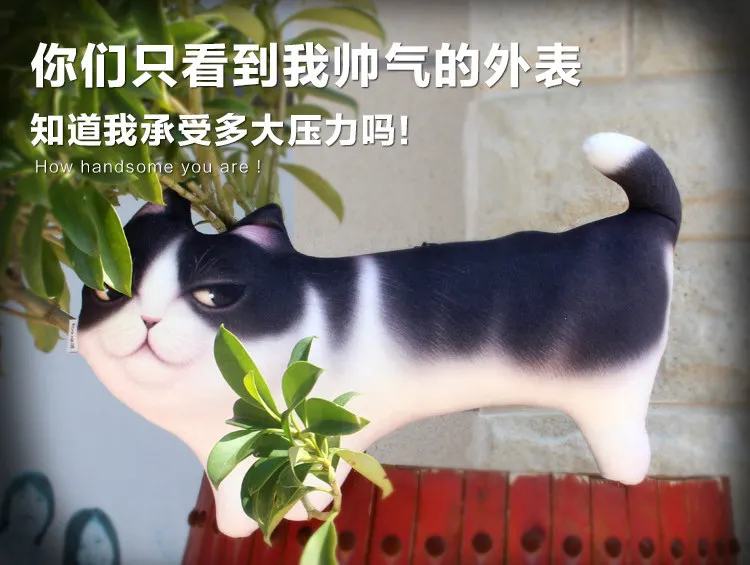 1 шт., креативная 3D подушка для кошек, Декор для дома, супер милая плюшевая игрушка мяу-звезда, подушки для поясничного кресла, поясная подушка, подарок