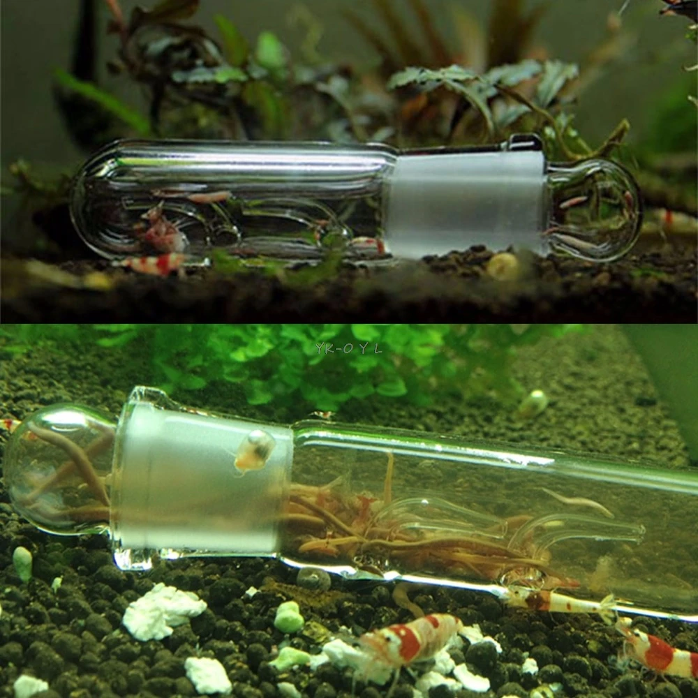 Улитка Leech Vivarium ловушка для вредителей креветки аквариум Растения Червячные