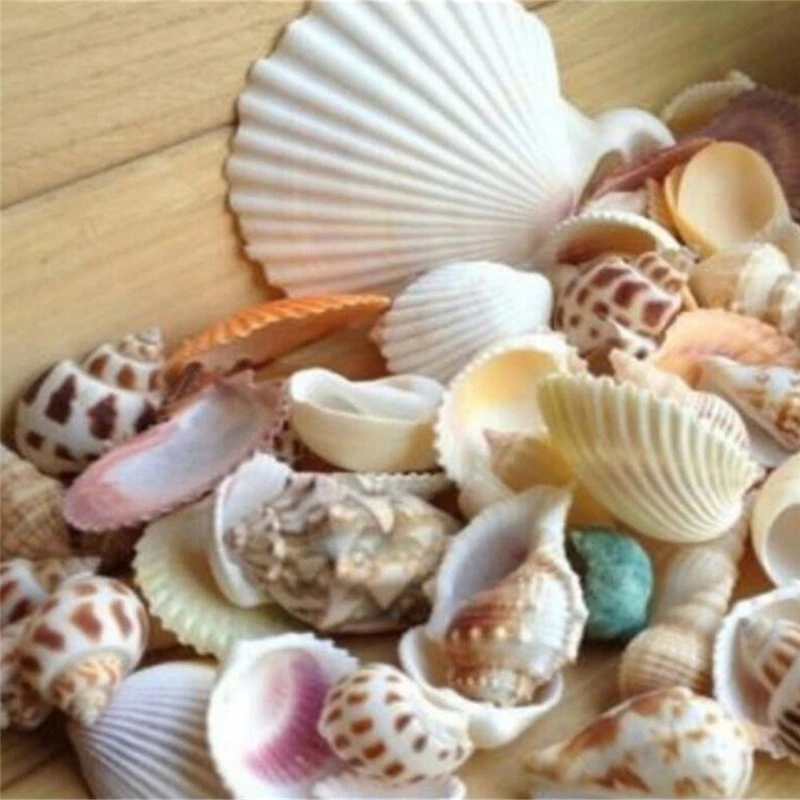 100 г пляжные ракушки смесь морских ракушек для рукоделия аквариума Морской