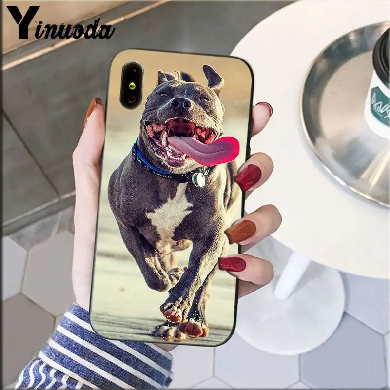 Yinuoda Pit Bull прекрасная комнатная собачка Pitbull TPU Мягкий силиконовый чехол для телефона iPhone 5 5Sx 6 7plus 8 8Plus X XS MAX XR