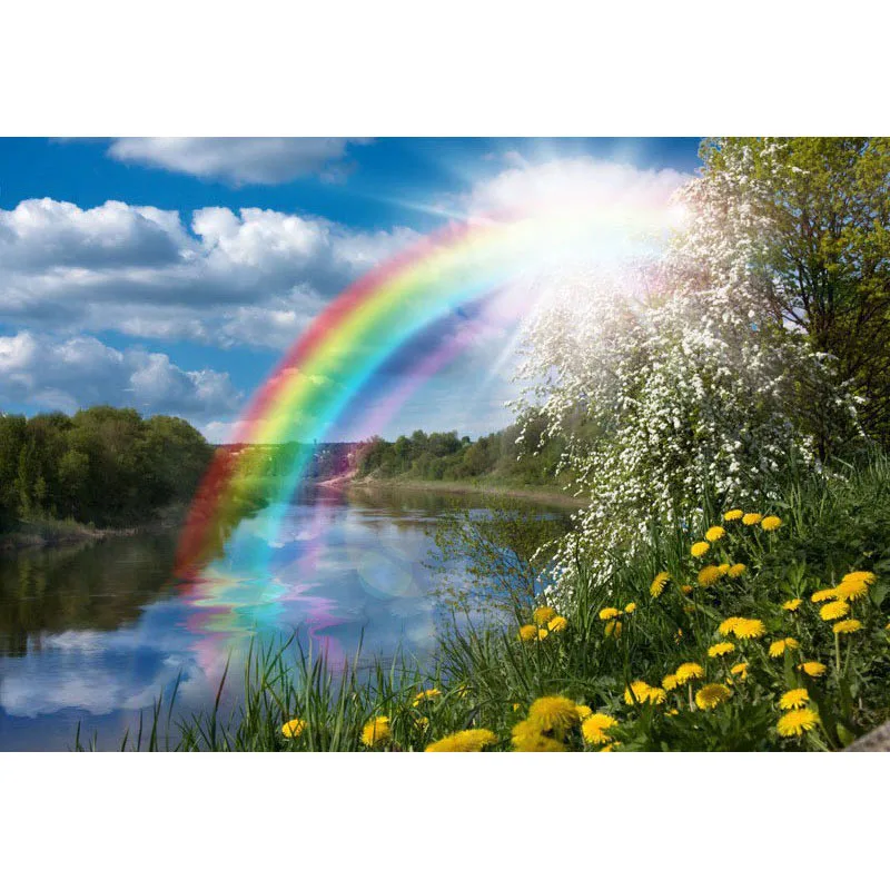 H1671 алмазов картина полный дрель 5d полная квадратная алмазная живопись Радуга